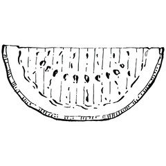 Watermelon sketch vector drawing. Isolated hand drawn berry on white background. Summer berry engraved style illustration. Decoration for food packaging.