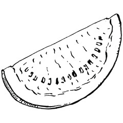 Watermelon sketch vector drawing. Isolated hand drawn berry on white background. Summer berry engraved style illustration. Decoration for food packaging.