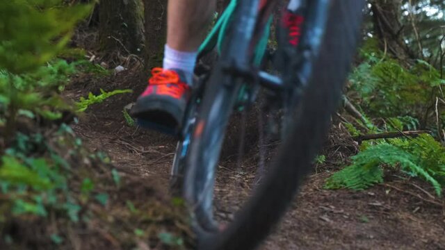 Downhill Mountain Bike Wheel On Speed At Forest Trail During Summer. - Closeup Shot