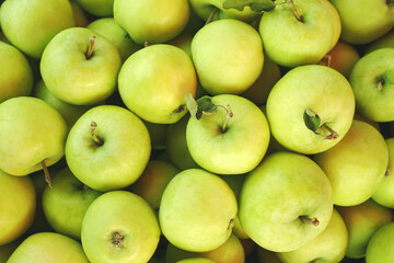 Green apples on a market. Background, food texture, new harvest.