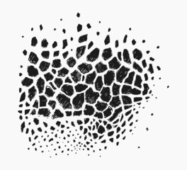 Detail drawn vector giraffe texture print pattern © TheMountBirdStudio