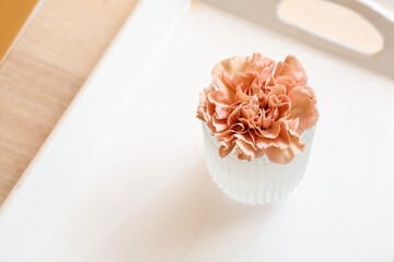 Vase with beautiful carnation flower on table