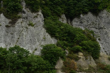 Fototapeta na wymiar The beautiful rock cliff mountain with the deep green forest in Sapporo Japan