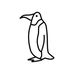 Outline figures of animal. Vector icon penguin