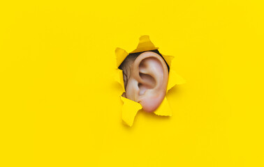 Close-up of a left woman's ear through a torn hole in yellow paper. The concept of eavesdropping,...