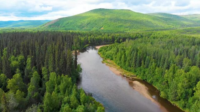 4K Drone Video (4X Speed) of Beautiful Chena River as it runs through Pine Tree Covered Mountains near Chena Hot Springs, Alaska in Summertime