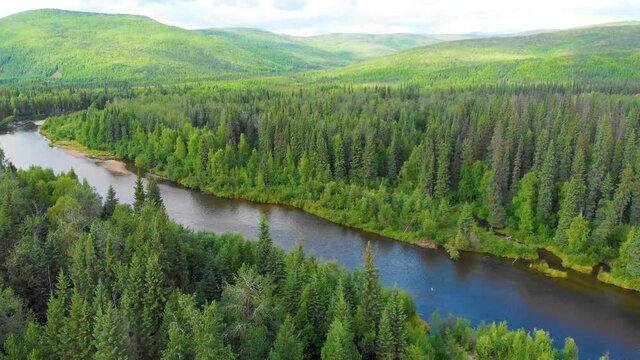 4K Drone Video of Beautiful Bend in the Chena River as it runs through Pine Tree Covered Mountains near Chena Hot Springs, Alaska in Summertime