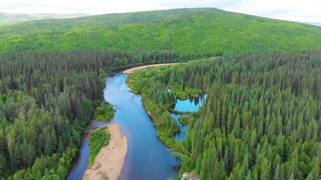 4K Drone Video (high elevation) of Beautiful Chena River as it runs through Pine Tree Covered Mountains near Chena Hot Springs, Alaska in Summertime