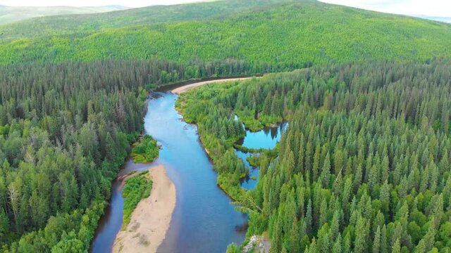 4K Drone Video (high elevation) of Beautiful Winding Chena River as it runs through Pine Tree Covered Mountains near Chena Hot Springs, Alaska in Summertime