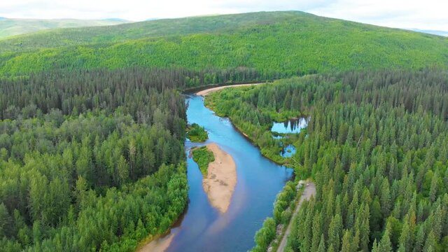 4K Drone Video (4X Speed) of Beautiful Chena River as it runs through Pine Tree Covered Mountains near Chena Hot Springs, Alaska in Summertime
