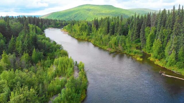 4K Drone Video (truck right shot) of Beautiful Chena River as it runs through Pine Tree Covered Mountains near Chena Hot Springs, Alaska in Summertime