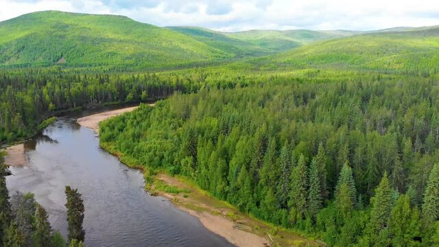 4K Drone Video of Beautiful Chena River as it runs through Pine Tree Covered Mountains near Chena Hot Springs, Alaska in Summertime