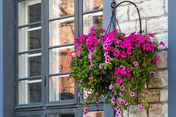 Facade of a building with windows and flowers.