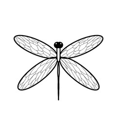 Dragonfly illustration doodle black line 