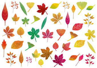 秋の植物のアイコンセット　水彩風