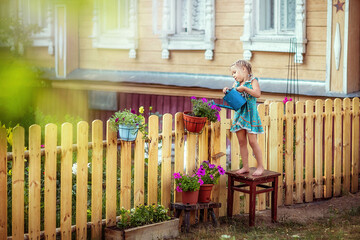 girl watering flowers, petunia, garden, young florist, summer in the village, joy, happiness,...