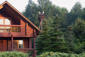 Fototapeta na wymiar wooden house among the trees at sunrise in summer