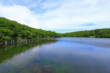 제주도 한라산에 있는 사라오름의 아름다운 여름 풍경이다.