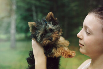 girl holding cute york puppy. gentle gaze of a child and a dog in nature.