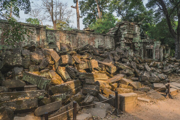 Fototapeta na wymiar Huge Banyan Tree Ancient Angkor Wat Ruins Panorama Sunrise Asia. Banteay Kdei Temple. Siem Reap, Cambodia