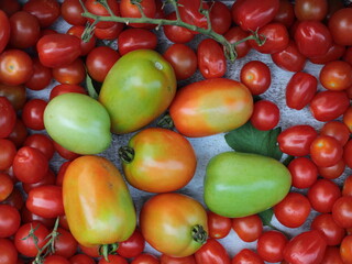 Cherry tomatoes with Roma Tomatoes on a grey background
