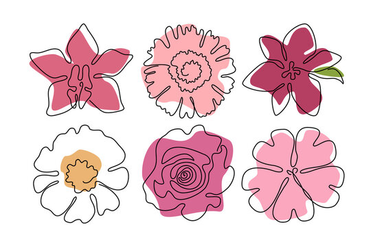 Set of one line art flowers. Vector monoline orchid, lily, chamomile, rose, sakura. Isolated on white background. Doodle floral concept. Print, textile, fashion, accessories, media, postcard, package.
