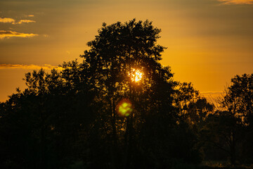 Niebo zachód słońca drzewa