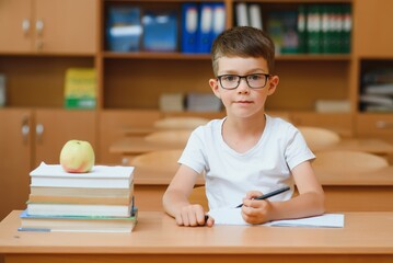 Concentrated schoolboy sitting at desk and writing in exercise book with classmate sitting behind