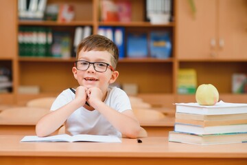 Happy schoolboys sitting at desk, classroom