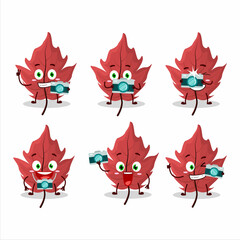 Photographer profession emoticon with red autumn leaf cartoon character