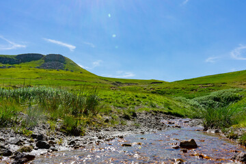 Summer in mountain