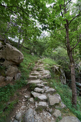 Stone path surrounded by vegetation that climbs towards a mountain