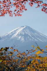 The trees was blur foreground and Fuji Mt.