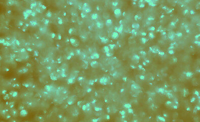 background with bubbles