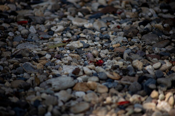 Various size and color rock on floor