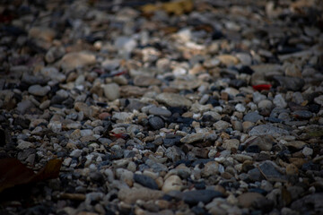 Various size and color rock on floor