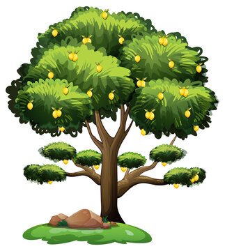 Lemon tree in cartoon style isolated on white background