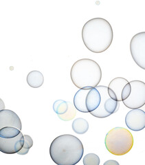 colored soap bubbles on white background