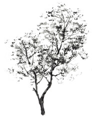 水墨画技法で描かれた樹木