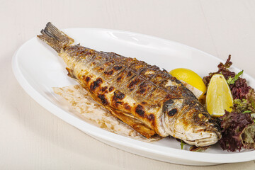 Grilled seabass fish served lemon