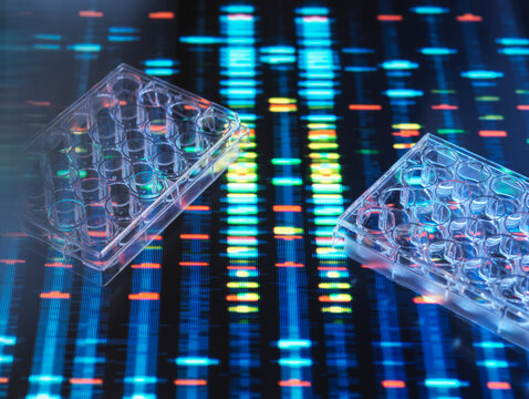 DNA research