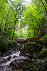 Obraz premium Klauser Wasserfall bei Mellau, Bezirk Bregenz in Vorarlberg