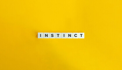 Fototapeta Instinct banner. Block letters on bright orange background. Minimal aesthetics. obraz