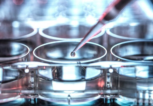 Biotechnology research