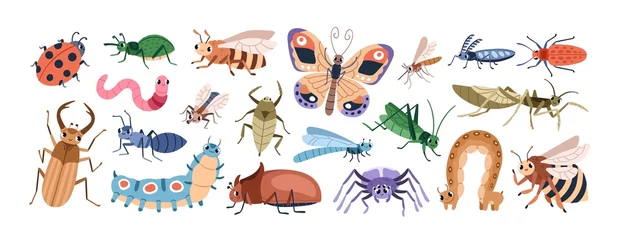 Foto op Plexiglas Cute cartoon insect characters set. Funny happy small bugs, butterflies, caterpillars, grasshoppers, beetles, worms, bees and ants. Childish flat vector illustrations isolated on white background © Good Studio