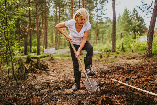 Elderly senior gardener woman digging caring ground level at summer farm countryside outdoors using garden tools rake and shovel. Farming, gardening, agriculture, retired active old age people concept