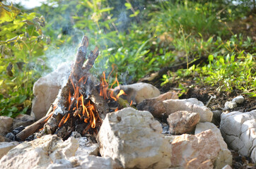 Camp fire in the forest
