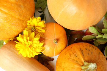 Happy Thanksgiving Day composition with pumpkins, close up