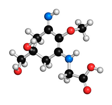 Palythine sunscreen molecule, illustration