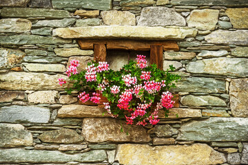 Fototapeta na wymiar Small window of a stone thing with geranium flowers
